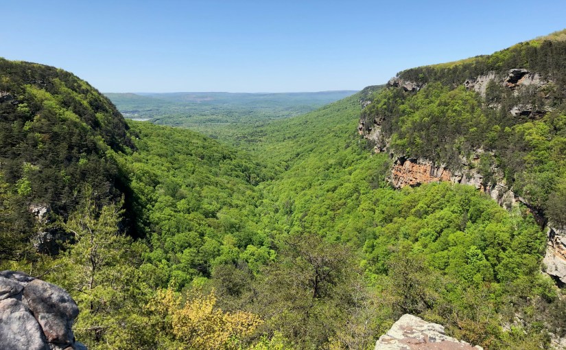 Hiking Adventures: Cloudland&nbsp;Canyon