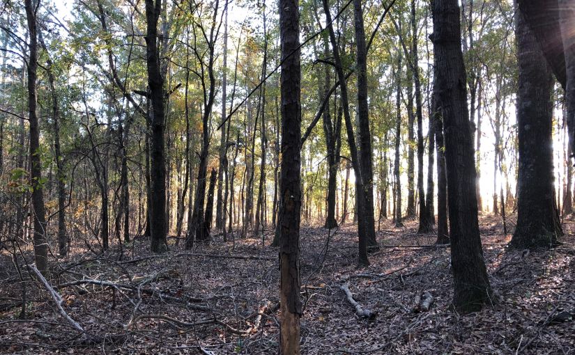 An Outdoor State of&nbsp;Mind